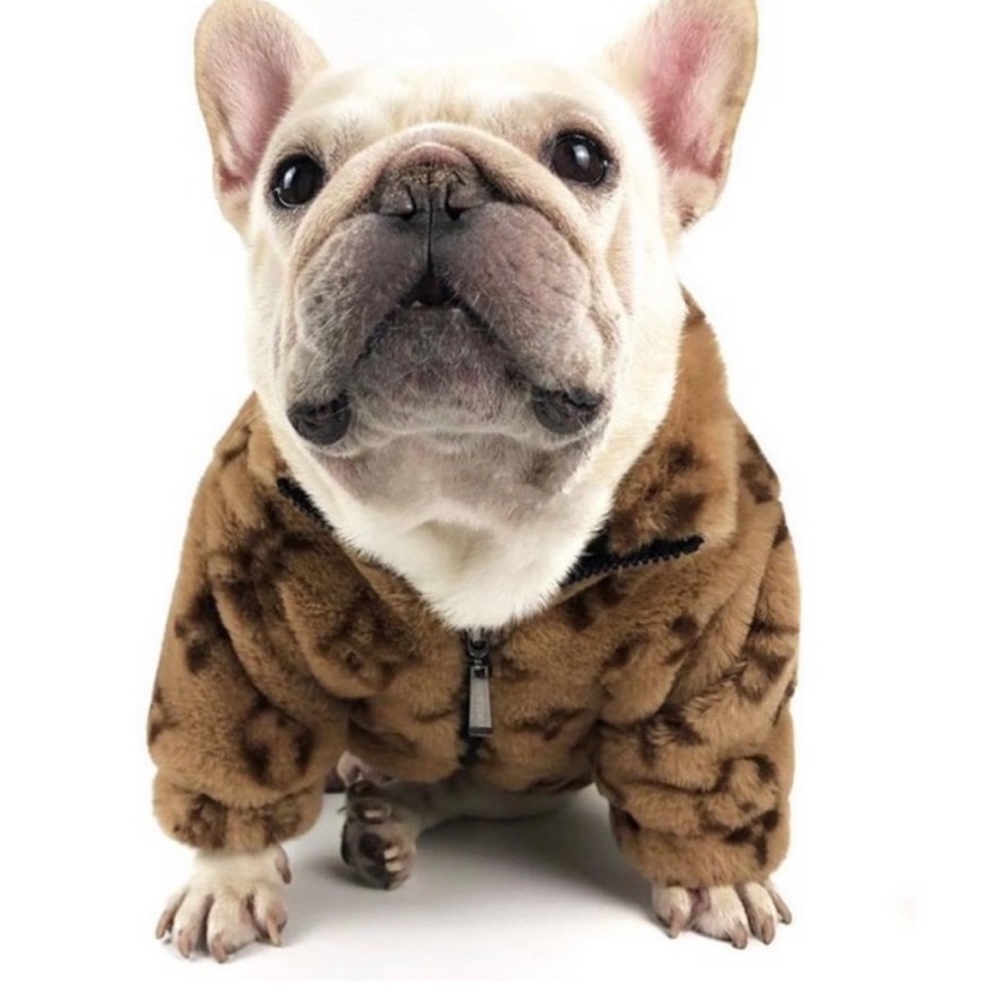 NEW 🐾 designer doggie jacket - Picture 5 of 10
